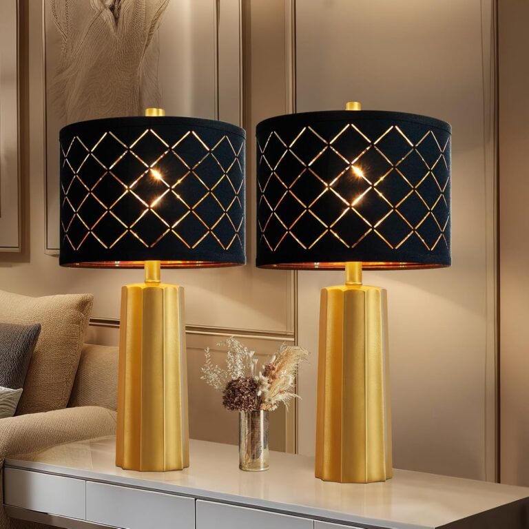 81yAuyNtHJL. AC SL1500 MopGun