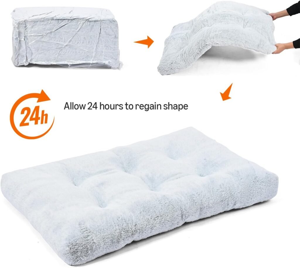 61TfbzeH8nL. AC SL1500 MopGun