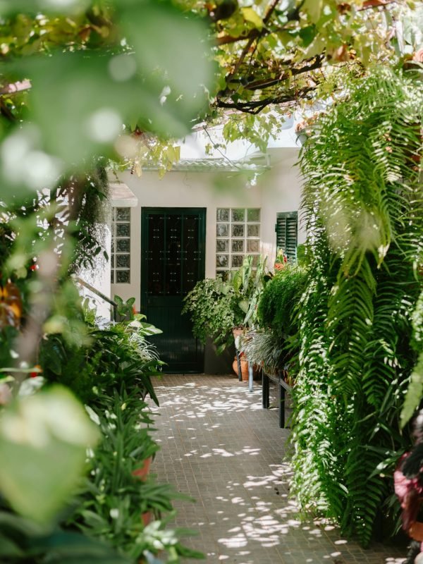 lawn and garden lawn and garden